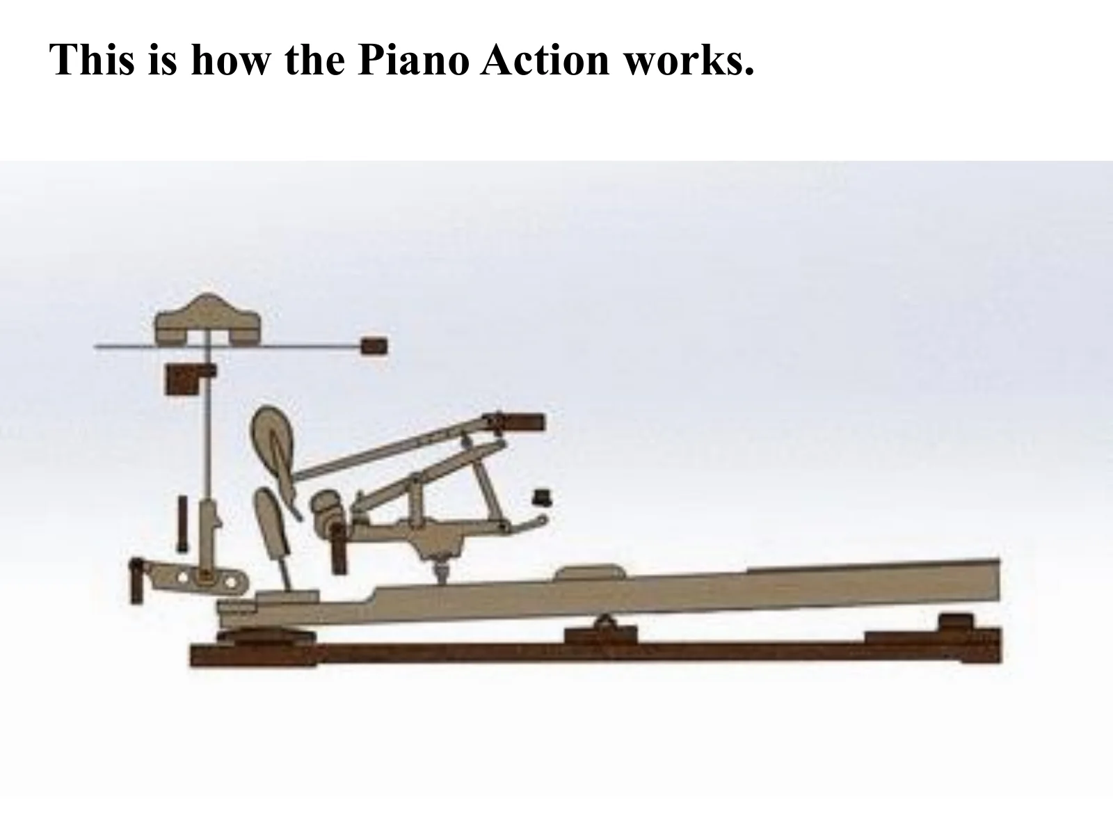 A 3D model showing how the parts of the action move together when a key is pressed.