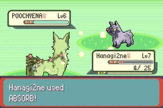 Schermata di lotta. Hanagi2ne, vista di spalle, è di fronte a un Poochyena selvatico. Il testo dice: Hanagi2ne usa ASSORBIMENTO!